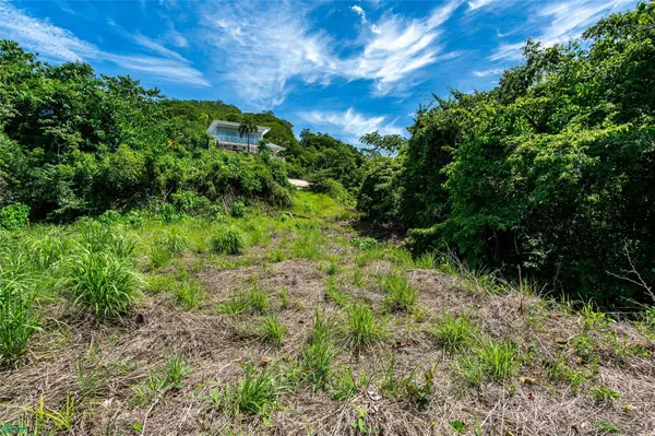 Mirador del Pacifico, Samara, Guanacaste 50205