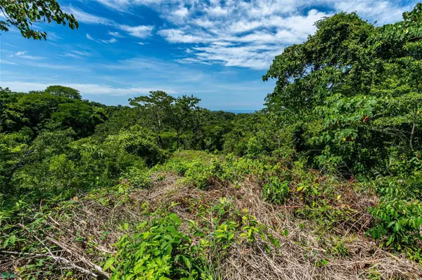 Vista Verde, Samara, Guanacaste 50205