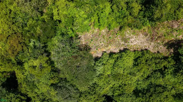 Vista Verde, Samara, Guanacaste 50205