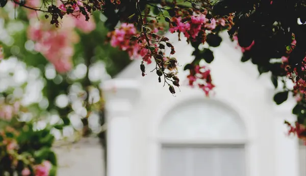 feature image of 5 Simple Ways to Prepare Your Property for Spring