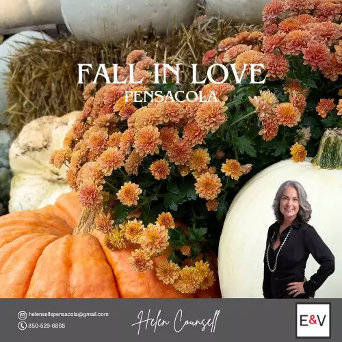 feature image of Fall in Love with Downtown Pensacola this Autumn