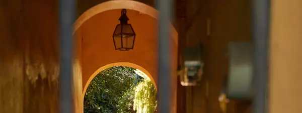 The Art of the Courtyard: Hidden Patios to Discover in New Orleans