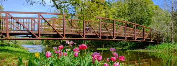 Sunlit Strolls: The Most Beautiful Gardens in New Orleans