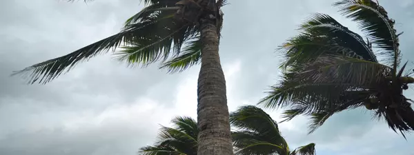 Be Ready Before the Storm: Your 2025 Louisiana Hurricane Season Guide