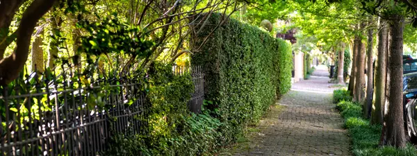 Lower Garden District, Where the Greek Revival Mansions Face a Public Park and Nobody Rushes to Explain the Difference From the Garden District