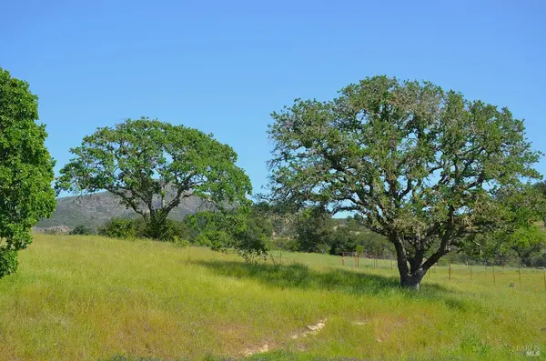 2186 Monticello RD, Napa, CA 94558