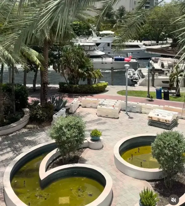 Why River House Is a Las Olas Icon in Fort Lauderdale!