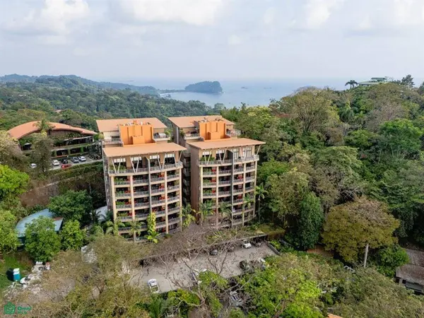 Los Altos Luxury Penthouse,
