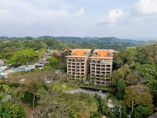 Los Altos Luxury Penthouse,