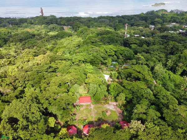 La Selva Azul, Cóbano, Puntarenas 60111