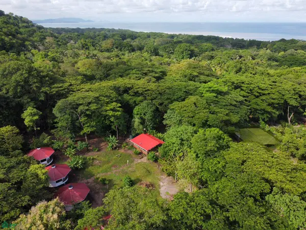 La Selva Azul