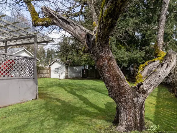 510 McPhee Ave, Courtenay, BC V9N 2Z6