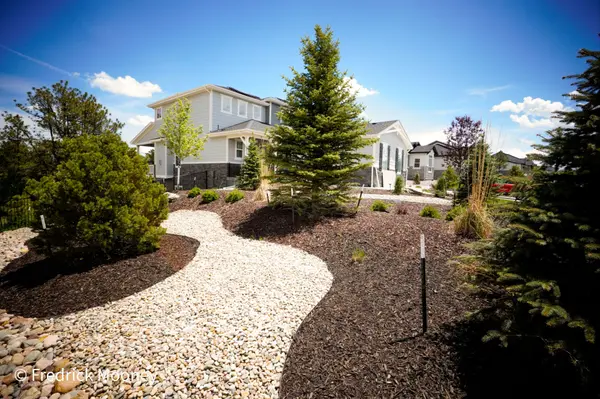 Making Your Curb "Appeal" with Trees and Landscaping: Colorado Front Range Edition