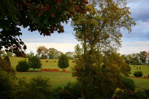 niki-clark-HLt0yB-tCqc-unsplash