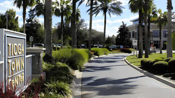 Tioga, FL: An Insider's Guide to Town of Tioga Homes for Sale