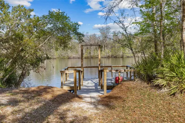 4250 NW 81ST LN, Bell, FL 32619