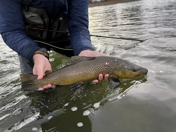Paradise Valley Fishing Report ,Johnny Ryan