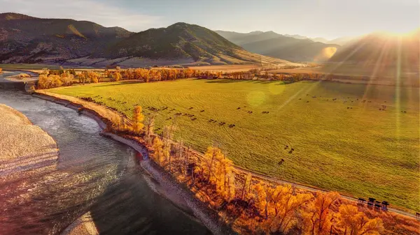 Livingston MT Real Estate Market Update | July 2026