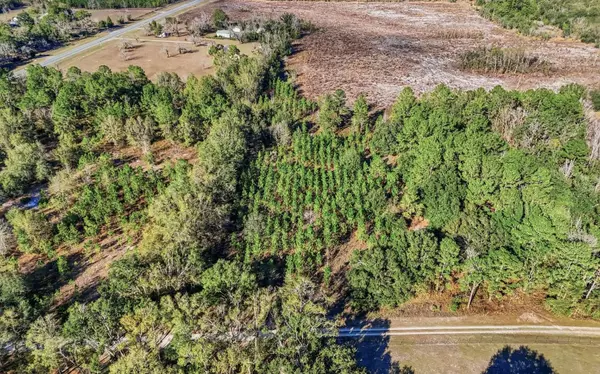 TBD US HWY 129, LIVE OAK, Live Oak, FL 32060