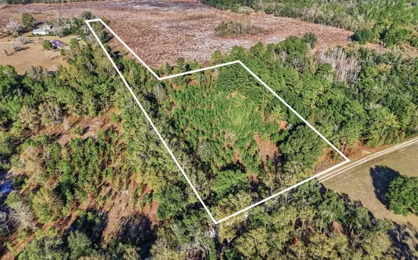 TBD US HWY 129, LIVE OAK, Live Oak, FL 32060