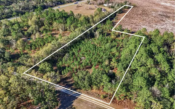 TBD US HWY 129, LIVE OAK, Live Oak, FL 32060