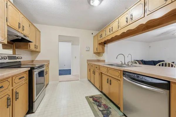 295 SW BLUEBERRY PL, Lake City, FL 32024