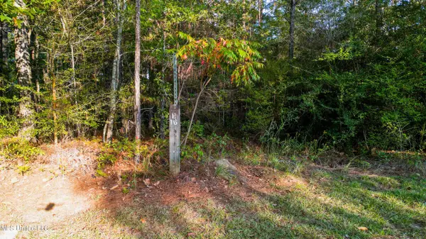 16 Windstone Street, Hattiesburg, MS 39402