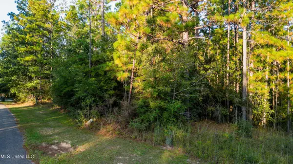 16 Windstone Street, Hattiesburg, MS 39402