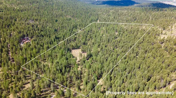 445 Buffalo TRL, Somers, MT 59932