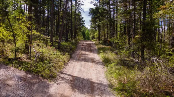 445 Buffalo TRL, Somers, MT 59932