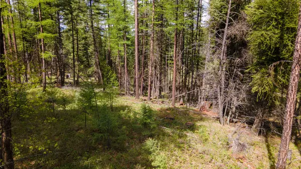 445 Buffalo TRL, Somers, MT 59932