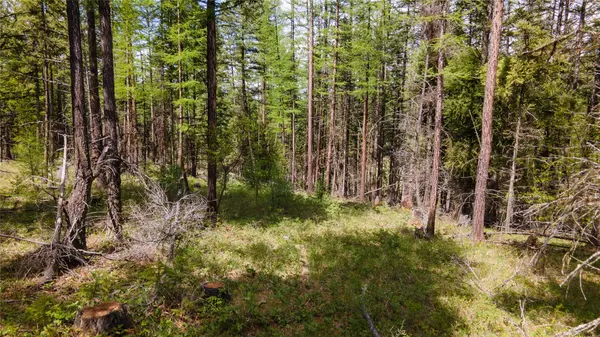 445 Buffalo TRL, Somers, MT 59932