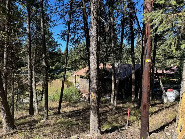 110 Happys Loop, Libby, MT 59923
