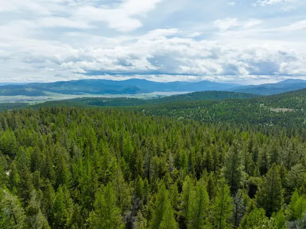 NHN Copper RD, Kalispell, MT 59901