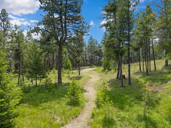460 Buffalo LN, Somers, MT 59932
