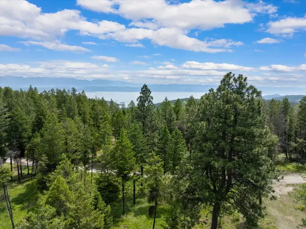 460 Buffalo LN, Somers, MT 59932