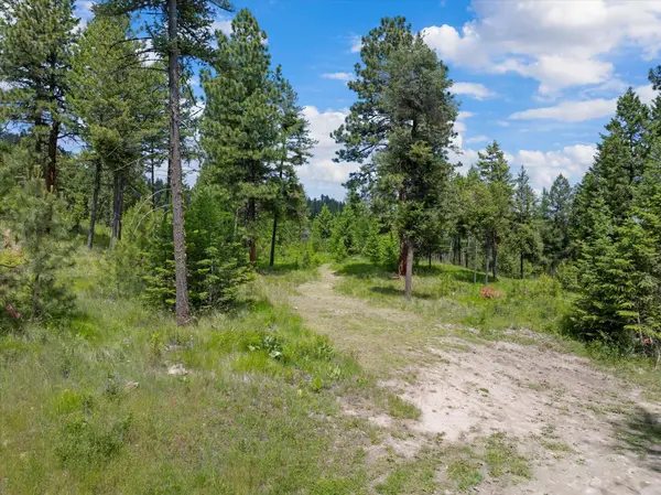 460 Buffalo LN, Somers, MT 59932