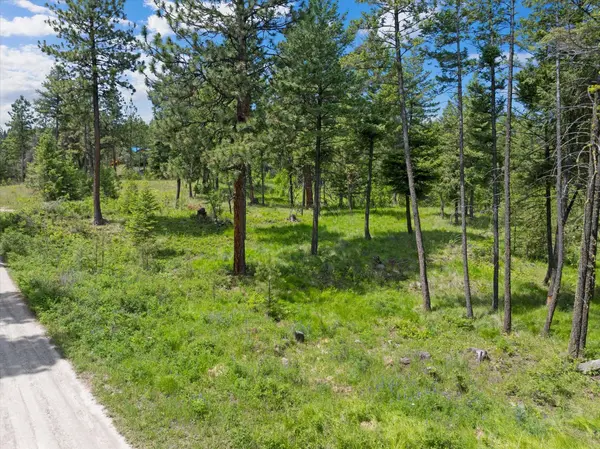 460 Buffalo LN, Somers, MT 59932