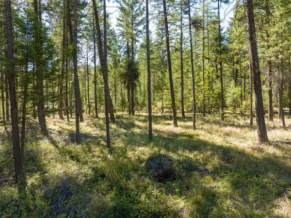 NHN Benchmark DR, Lakeside, MT 59922