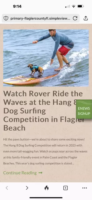 feature image of Hang 8 Dog Surfing at Flagler Beach