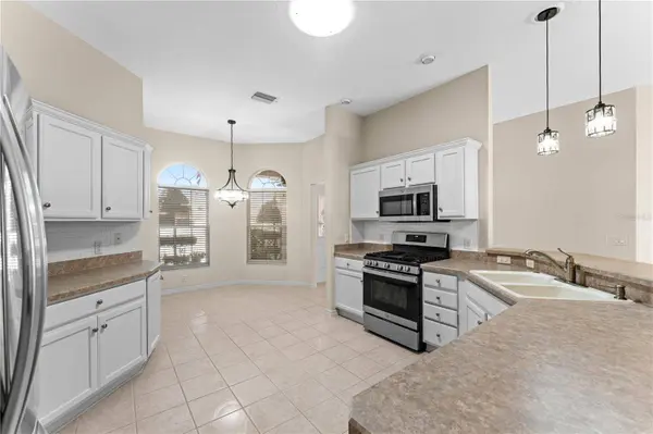 16905 SE 93RD CUTHBERT CIR N, The Villages, FL 32162