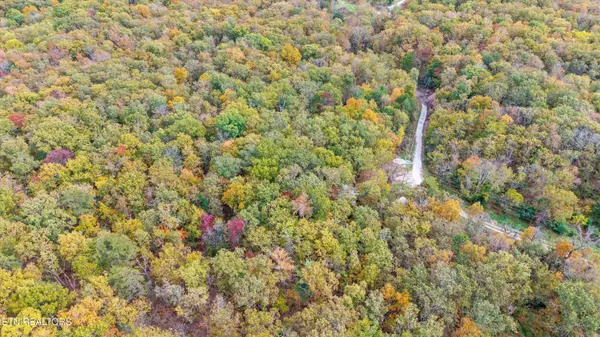 285 Raeanne Dr DR, Spring City, TN 37381