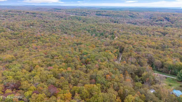 285 Raeanne Dr DR, Spring City, TN 37381