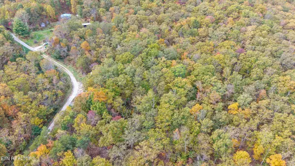 285 Raeanne Dr DR, Spring City, TN 37381