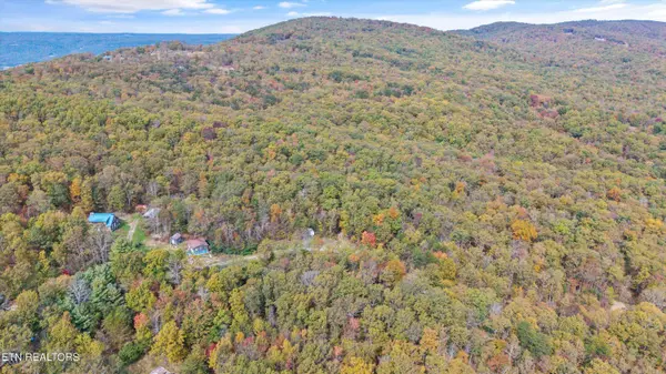 285 Raeanne Dr DR, Spring City, TN 37381