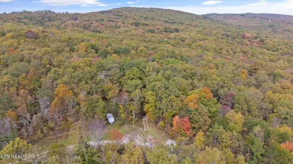 285 Raeanne Dr DR, Spring City, TN 37381