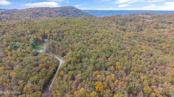 285 Raeanne Dr DR, Spring City, TN 37381