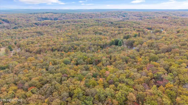 285 Raeanne Dr DR, Spring City, TN 37381