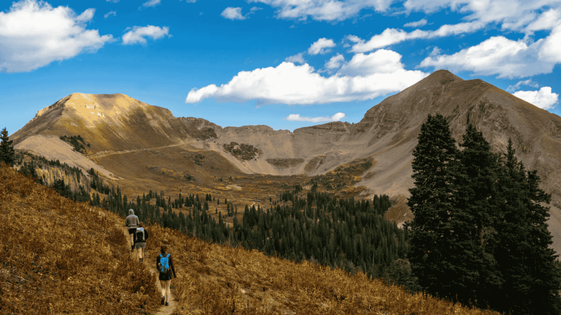 Family hiking on a Colorado foothills trail amid pine trees and mountain views