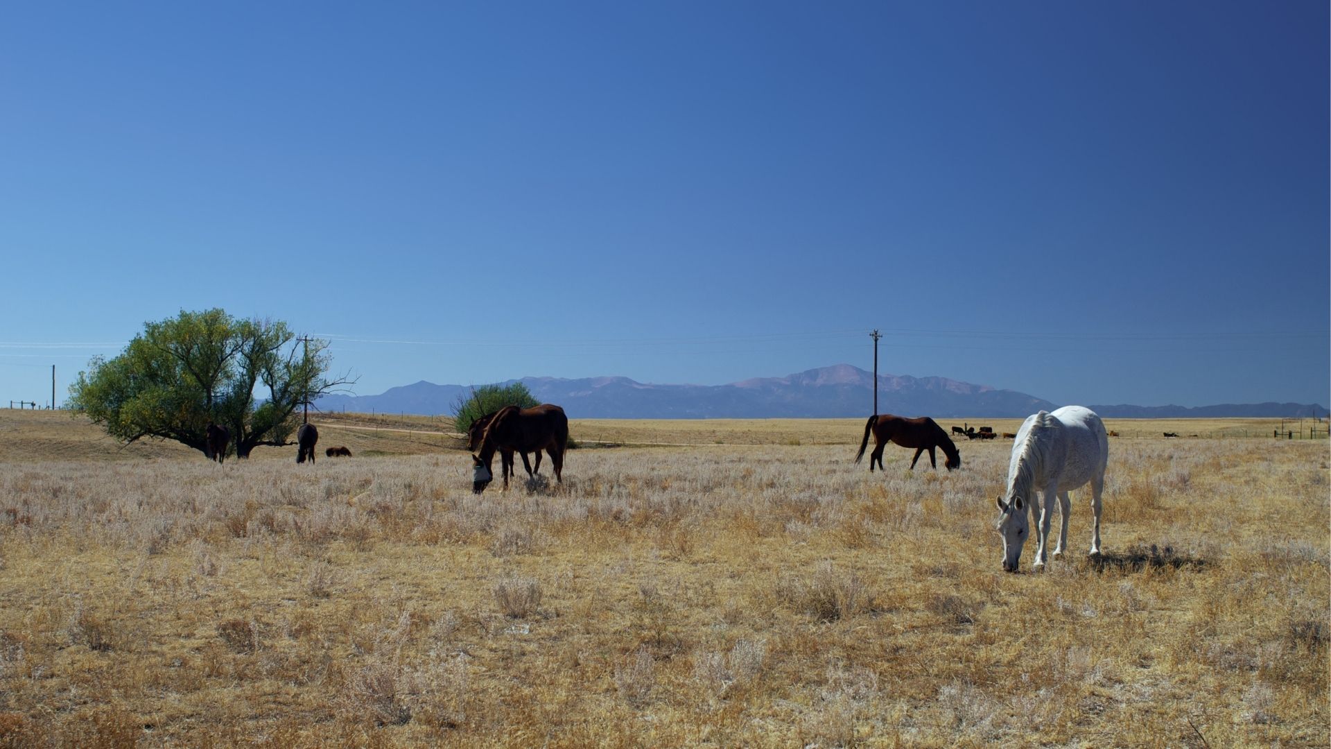 Open land in El Paso County Colorado